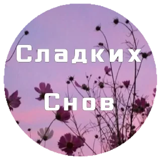 Стикер ♡︎•KanalStickers•♡︎ - 9
