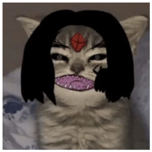 KanetVNiz2 @kishlakavtostopom - 