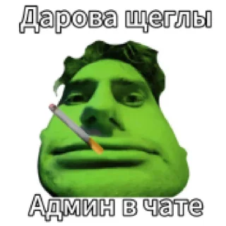 Sticker Капач @skripach_green | @Iloveyourmom142 - 9