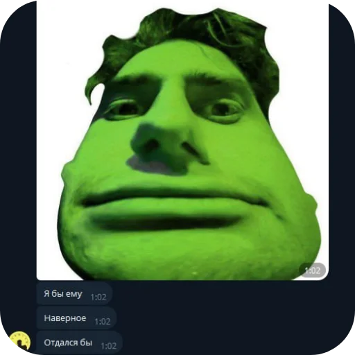 Стикер Kapach2SkripachGreenIloveyourmom142 - 1