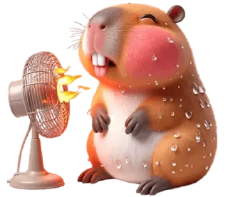 Sticker Kapi Capybara @SbornikStickers - 1