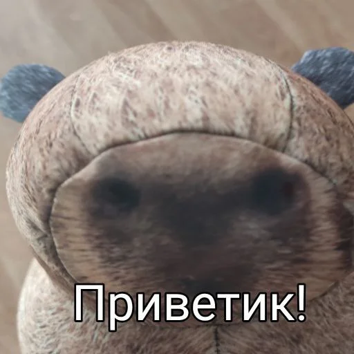 Sticker KapibaraBT - 1