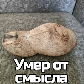 Sticker КАПИБАРА БЛОПТОП - 4