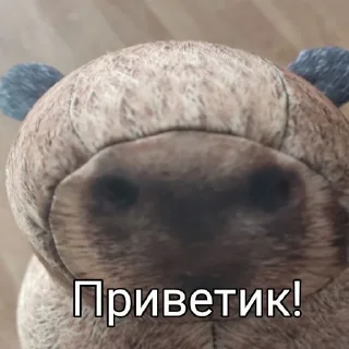 Sticker КАПИБАРА БЛОПТОП - 5