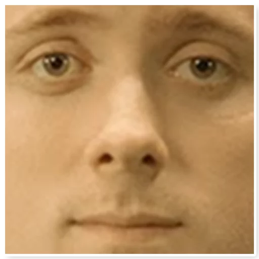 человеческое лицо кожа бровь