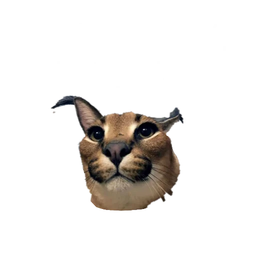 Стикер Шлёпанцы - 10