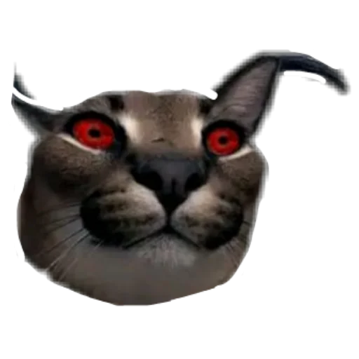 Стикер Шлёпанцы - 8