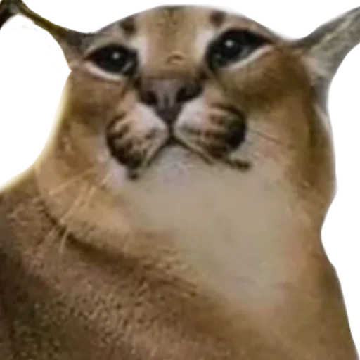 Стикер Шлёпанцы - 7