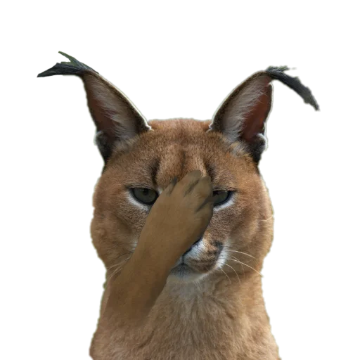 Стикер Шлёпанцы - 1