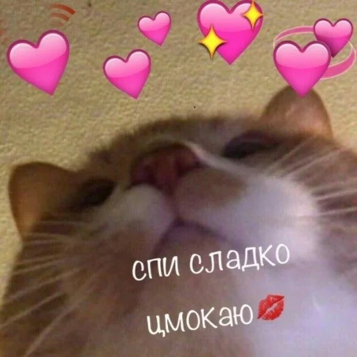 Sticker Каракатіци - 11