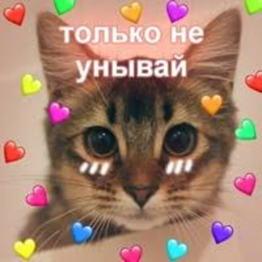 Sticker Каракатіци - 10