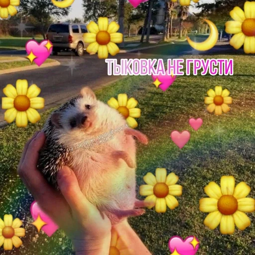 Sticker Каракатіци - 8