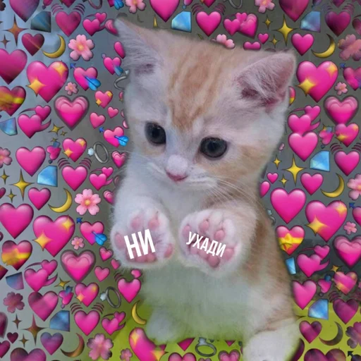 Sticker Каракатіци - 7