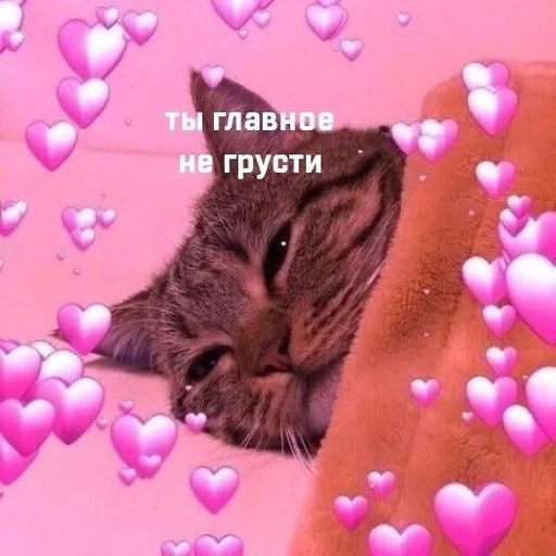 Sticker Каракатіци - 6