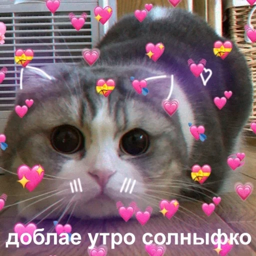 Sticker Каракатіци - 5