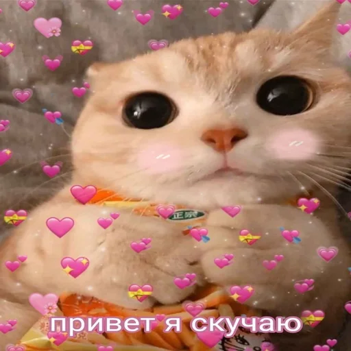 Sticker Каракатіци - 4