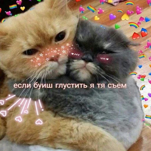 Sticker Каракатіци - 2