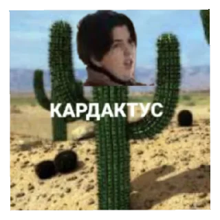 Sticker Кардашмыг - 11