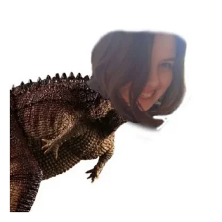 Sticker Кардашмыг - 2