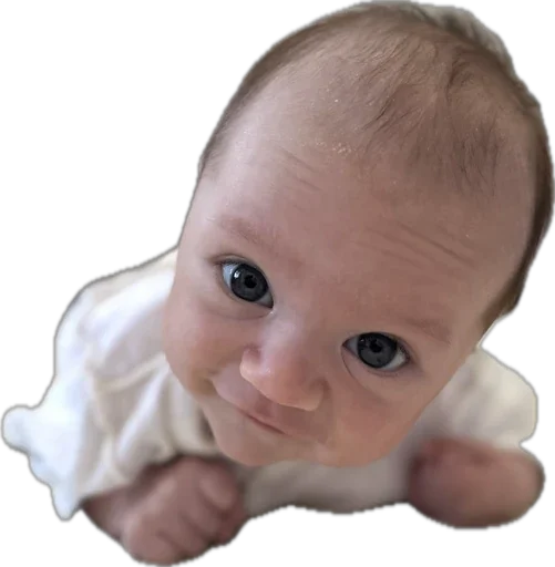 Sticker Karimasina - 1