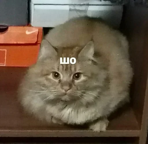 Стикер Карман - 0