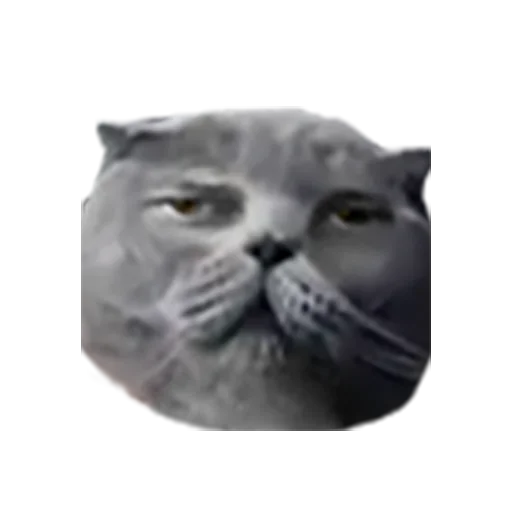 Sticker KarmikKoalaSmiles - 1