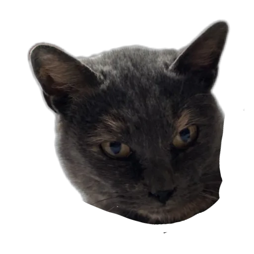 Стикер KarolIShut58 - 1