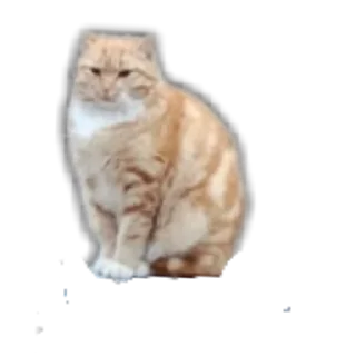 Sticker Кароль и шут - 2