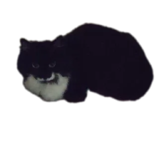 Sticker Кароль и шут - 7