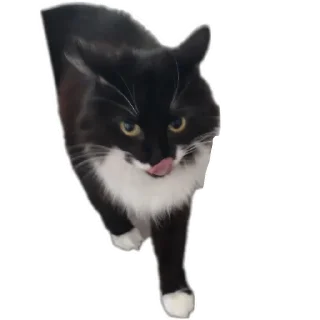 Sticker Кароль и шут - 1