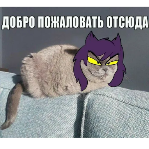 Стикер Kart13ZMK - 1