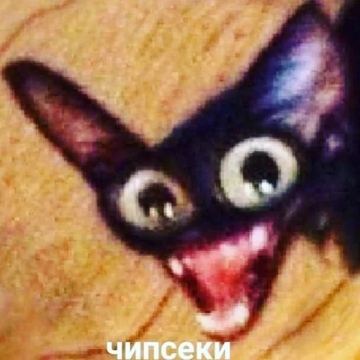 Картин очьки парт три - human face