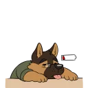 Sticker Kashra Stickers - 9