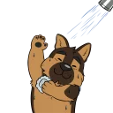 Sticker Kashra Stickers - 7