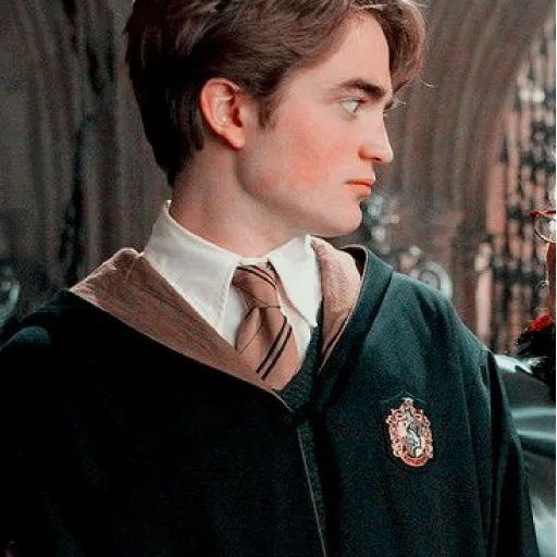 Стикер Учишься балету , Поттер?😏 - 1