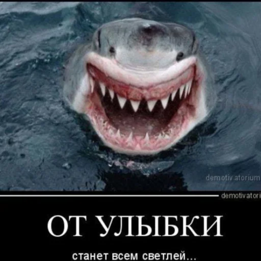 Sticker Стикеры Катюшки🍺 - 4