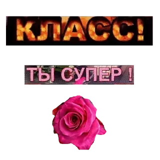 Sticker 🐍Кайф от Каф🐍 - 7