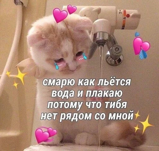 Стикер Котьки by @fStikBot - 9