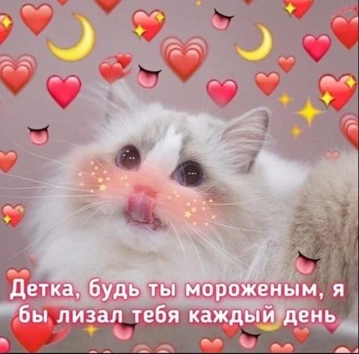 Стикер Котьки by @fStikBot - 1