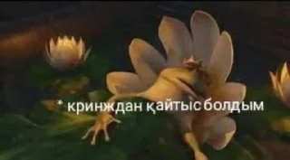 Стикер Казахстан🇰🇿 - 10