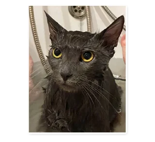 Sticker Graveyard - 9