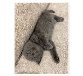 Sticker Graveyard - 0