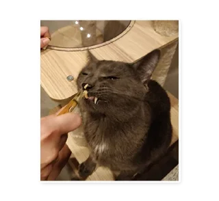 Sticker Graveyard - 3