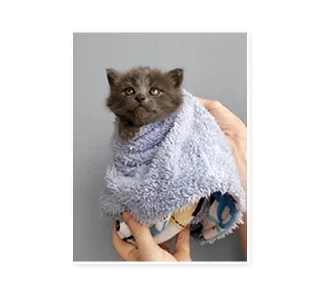 Sticker Graveyard - 4