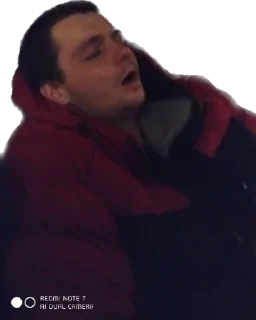 Sticker Казлы - 9