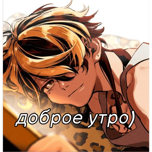 Sticker Kazu_tora_cdyn - 1