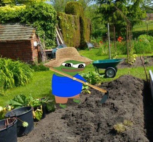 на открытом воздухе дерево земля