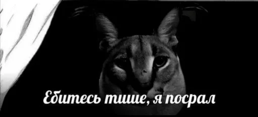 Sticker ExtraWaveyGuns :: @fStikBot - 7