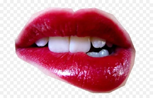 Sticker TakesMussDebus :: @fStikBot - 6