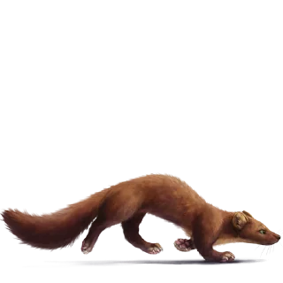 Стикер Kebi Mart - 2